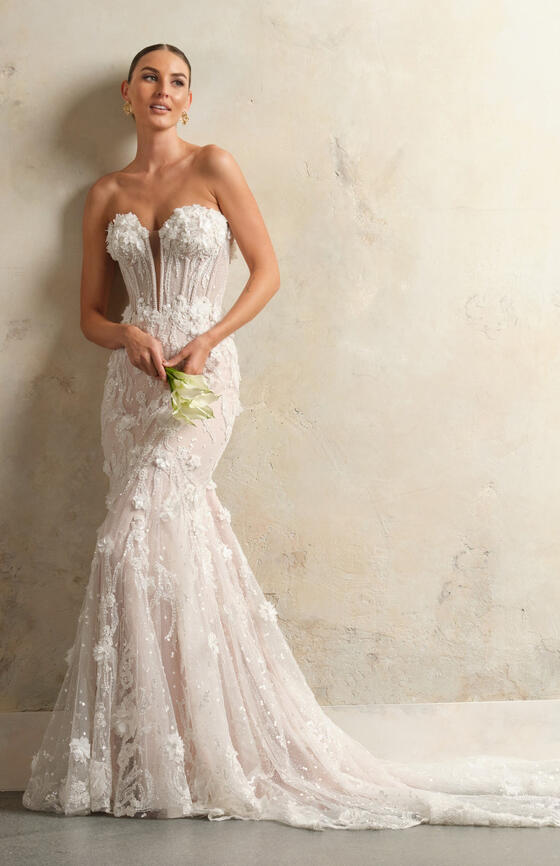 
                 
               Sottero & Midgley
            
