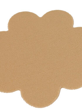 Reusable nipple covers