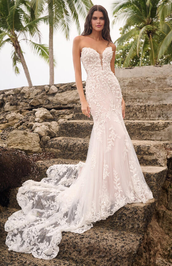 
                 
               Sottero & Midgley
            